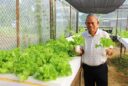 Hydroponic garden promotes well-being at Don Bosco Boys Home