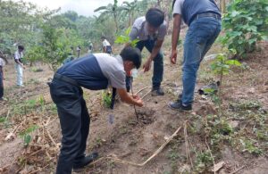Don Bosco Calauan in the Philippines carried out a tree-planting activity
