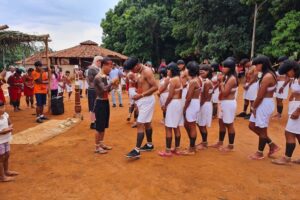 Brazilian state of Mato Grosso there are 47 Indigenous groups