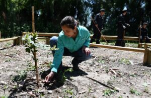Students at the Salesian Educational Center Talca in Chile installed a technology-based irrigation system for trees planted earlier in the Ceferino Namuncurá Native Forest