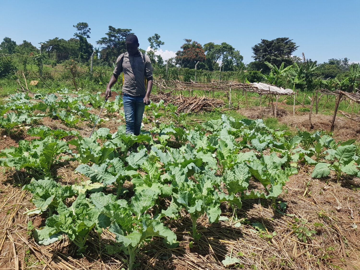 Salesian missionaries in Atede community in Gulu district of Uganda have been able to purchase land for a new agriculture school thanks to donor funding.