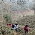Students at Don Bosco University in Assam, India, recently took part in the Campus Bird Count, a unique citizen science initiative aimed at documenting bird species found in educational institutions, research campuses, nongovernmental organizations’ premises and other green spaces.