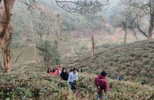 Students at Don Bosco University in Assam, India, recently took part in the Campus Bird Count, a unique citizen science initiative aimed at documenting bird species found in educational institutions, research campuses, nongovernmental organizations’ premises and other green spaces.