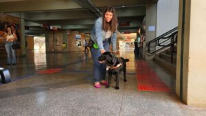 Nicole Vital, a new law student at Don Bosco Catholic University in Campo Grande, Brazil, has her faithful guide dog, Olinda, a two-year-old Labrador, with her at school.