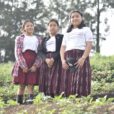Young women from the Salesian Talita Kumi centers, located in San Pedro Carchá, Chisec and El Estor, Guatemala, are growing healthy food in a sustainable way.