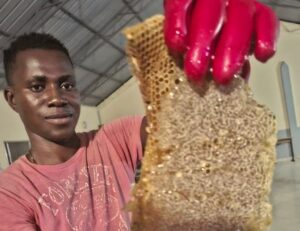 Salesian missionaries in Kunkundjan Mariama, a small locality in Banjul, The Gambia, were able to increase their beekeeping activities thanks to donor funding from Salesian Missions