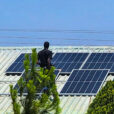 Two Zambian men standing on a metal-roofed building in full sun while installing solar panels. There are green evergreen trees in the foreground.