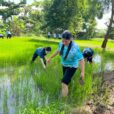 Don Bosco schools in Cambodia are actively promoting ecological awareness and sustainable practices through education, pastoral care and community involvement.
