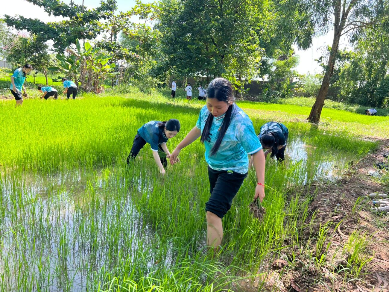 Don Bosco schools in Cambodia are actively promoting ecological awareness and sustainable practices through education, pastoral care and community involvement.