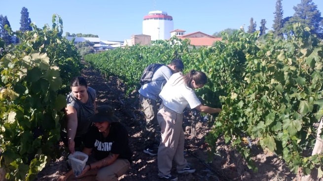 The Don Bosco Faculty of Oenology and Food Science, located in the Salesian House in Rodeo del Medio, Mendoza, Argentina