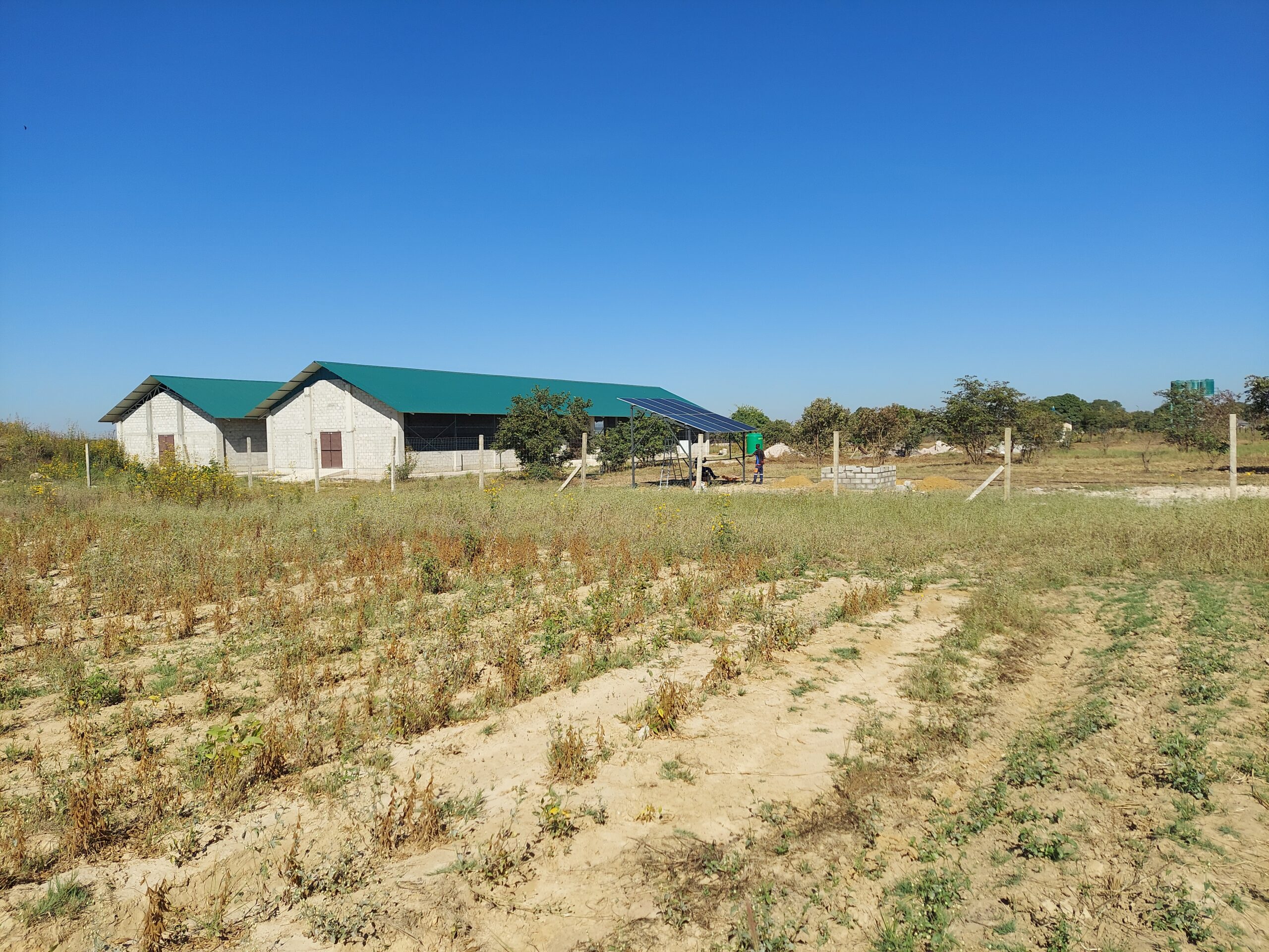 Don Bosco Makululu, located in the city of Kabwe, Zambia, has developed an integrated farm thanks in part to donor funding from Salesian Missions